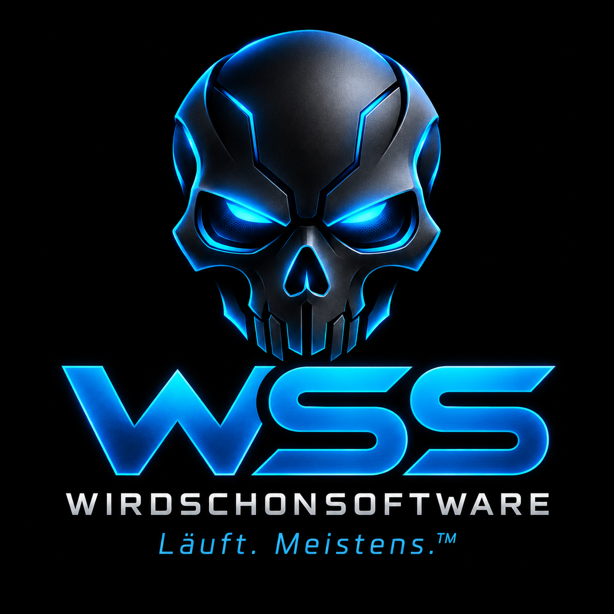 WSS – WirdSchonSoftware – Läuft. Meistens.